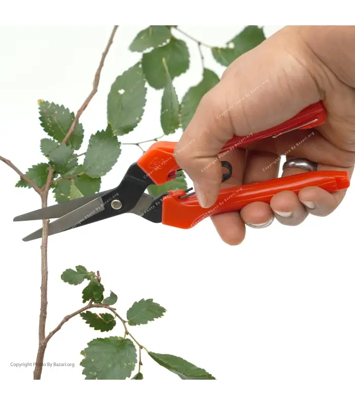 ست 5 عددی بیلچه بونسای BH-2931 بهکو (BEHCO)