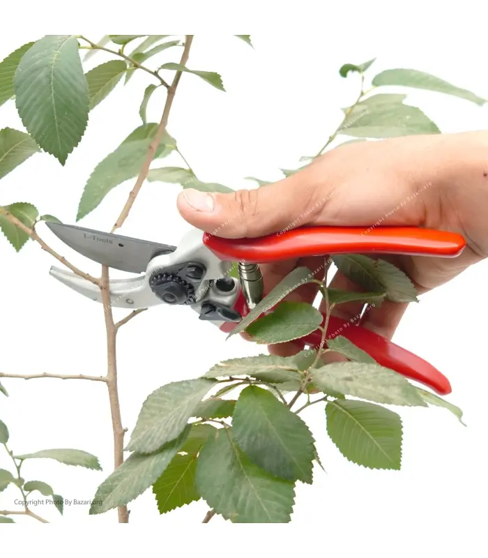 قیچی باغبانی L-TOOLS مدل BP-730 بهکو (BEHCO)