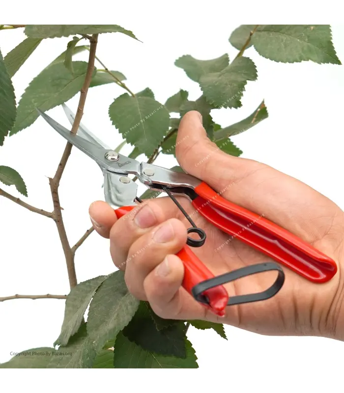 قیچی میوه چین سرکج BP-1812H بهکو (BEHCO)