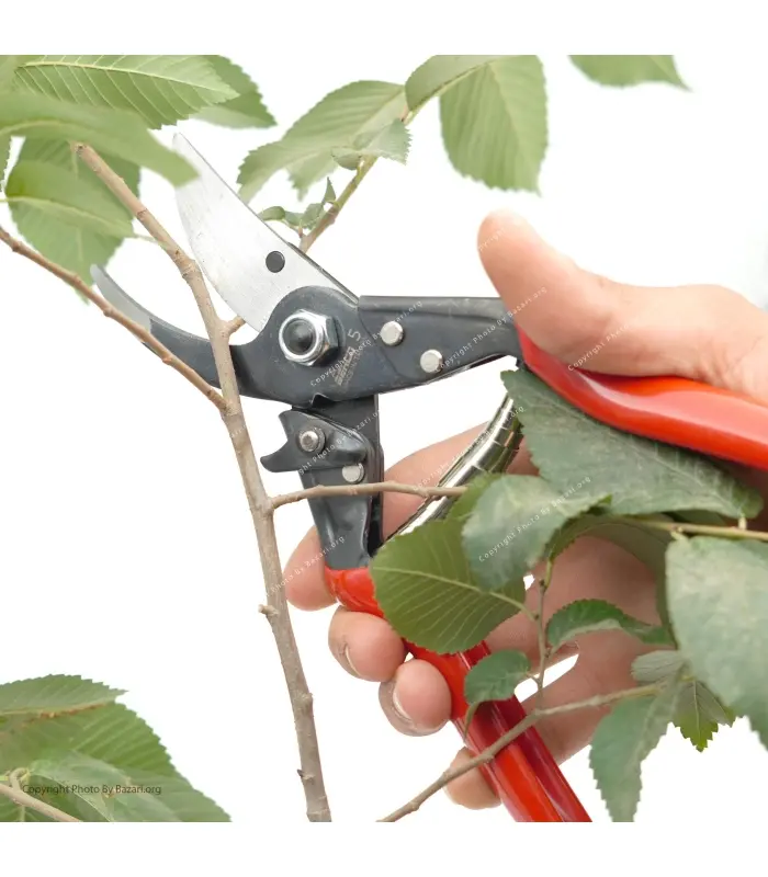 قیچی باغبانی 5 مدل BH-PR05 بهکو (BEHCO)