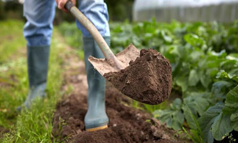 نکات خرید ابزارآلات باغبانی